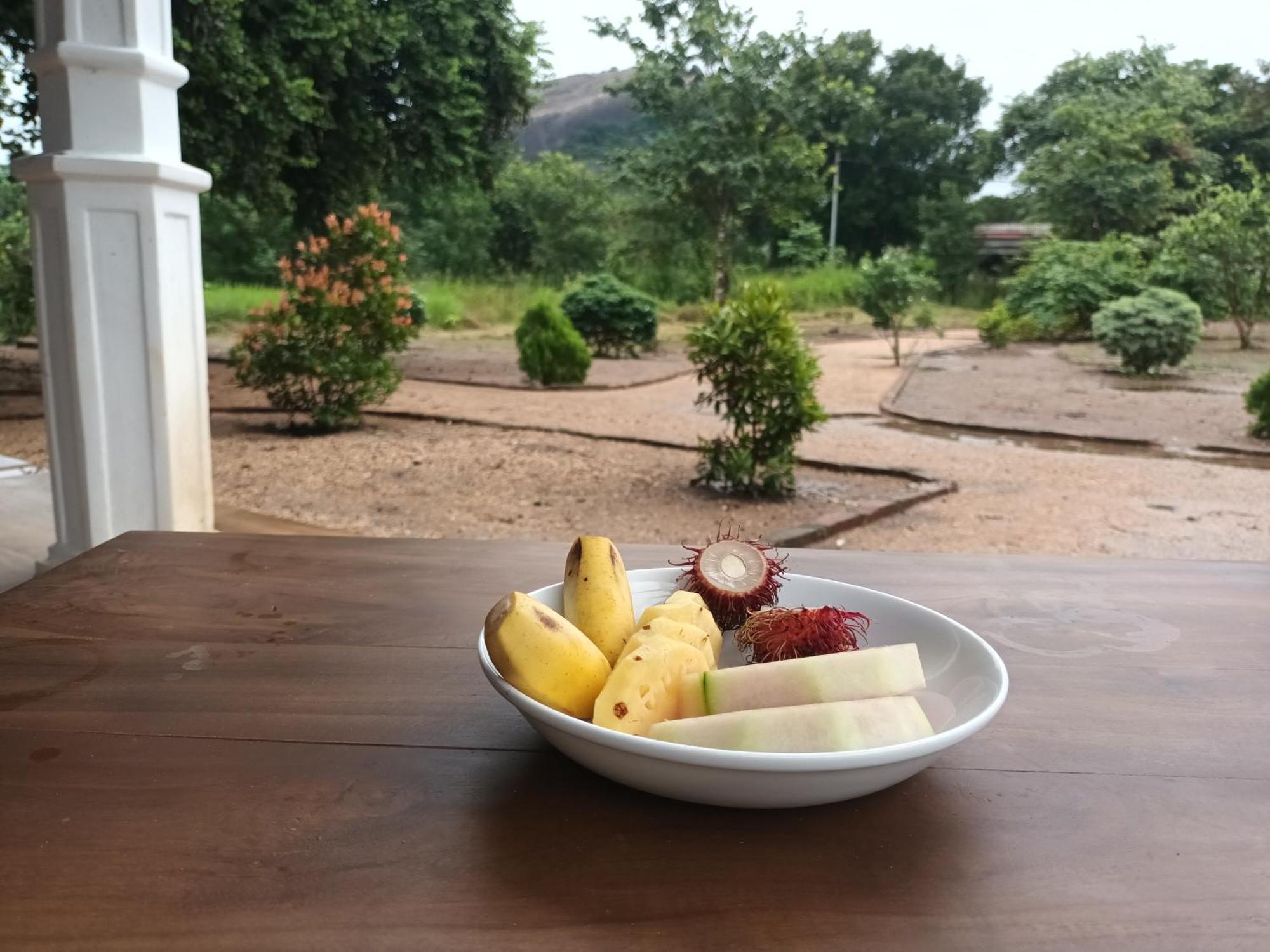 Hotel Sigiri Arana Sigiriya Esterno foto