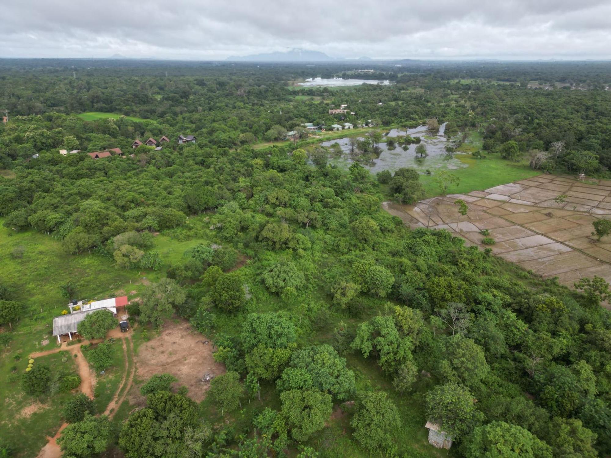 Hotel Sigiri Arana Sigiriya Esterno foto