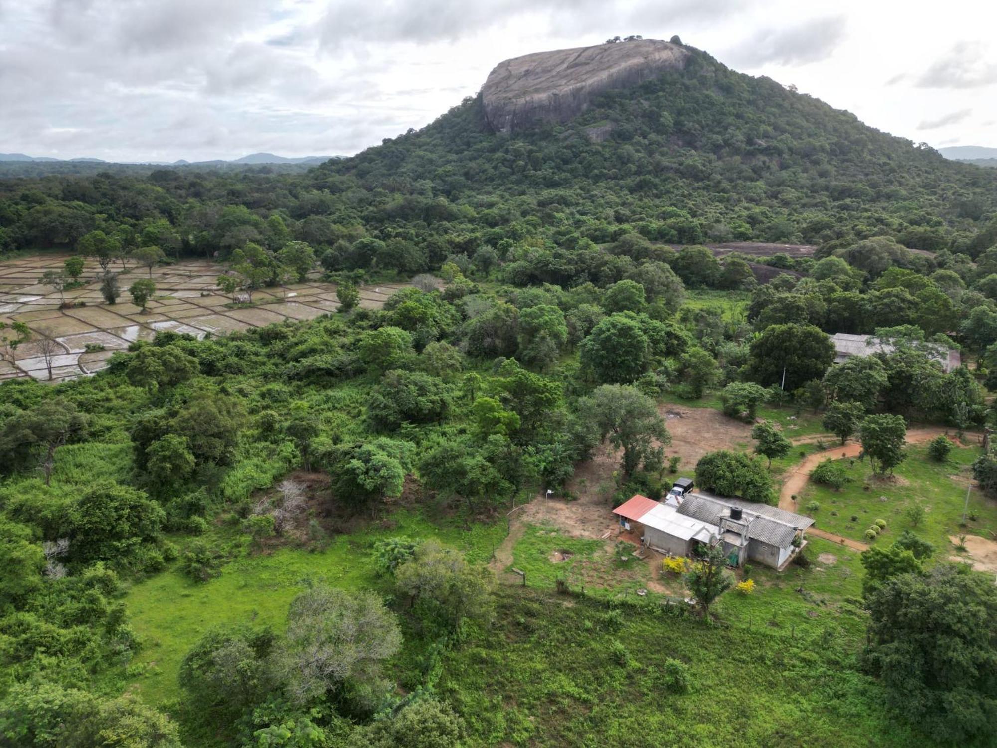 Hotel Sigiri Arana Sigiriya Esterno foto