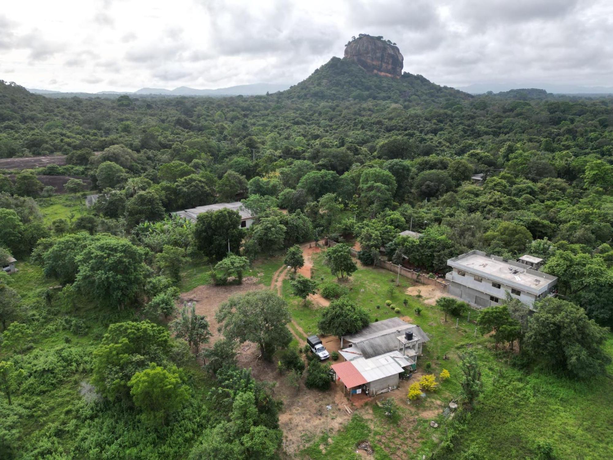 Hotel Sigiri Arana Sigiriya Esterno foto